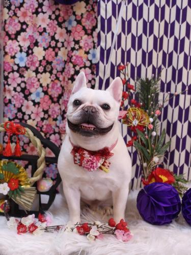 20250116まろんくん